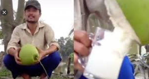 Kỳ lạ trái dừa cho sữa ở miền Tây đang khiến dân mạng tranh cãi kịch liệt liệu có thật hay chỉ là sản phẩm câu like?