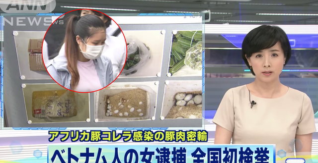 Nữ sinh Việt mang 10kg thịt lợn, 360 quả trứng vịt lộn sang Nhật có thể bị phạt 3 năm tù
