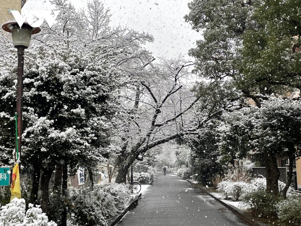 Tuyết rơi trắng xóa tại Tokyo, tạo nên cảnh sắc lãng mạn