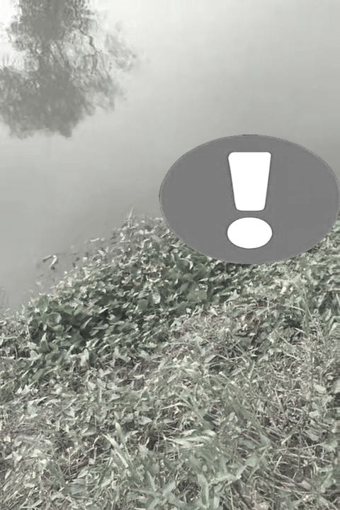 Cầu Sài Gòn tự cứa cổ rồi gục rơi xuống sông…