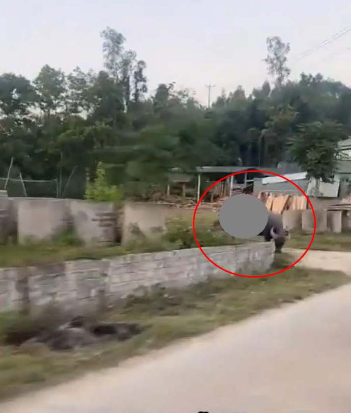 VI:DEO 0CHE: Toàn cảnh sự việc