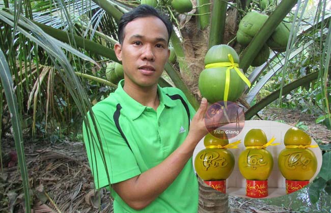 Tạo hình độc đáo trực tiếp trên cây, chàng trai Bến Tre bán dừa giá tăng gấp chục lần trái thường khiến mọi người thán phục