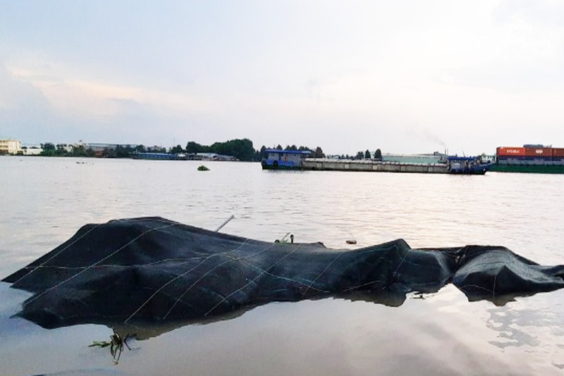 Sà lan tông chìm nhiều bè cá trên sông Tiền, khoảng 18 tấn cá thoát ra ngoài