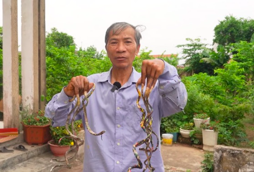 CĐM ‘ngã ngửa’ khi người đàn ông ở Nam Định nuôi móng tay suốt 33 năm, mong bán với giá 7 tỷ đồng