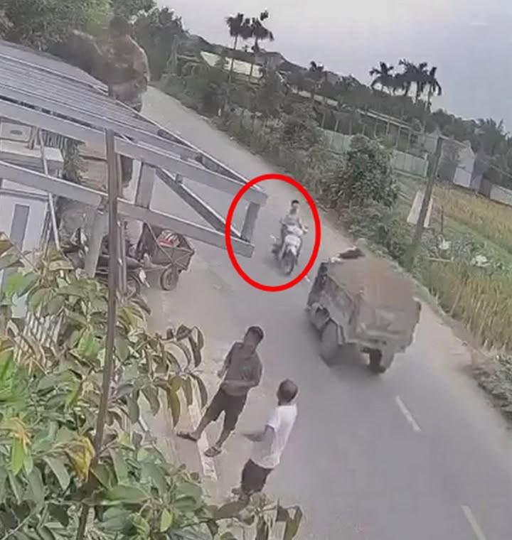 CAMERA Toàn cảnh sự việc TNGT