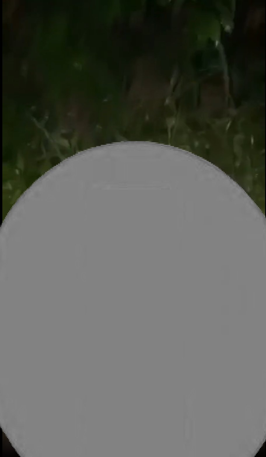 Các cháu bây giờ l;ộng h;;ành quá