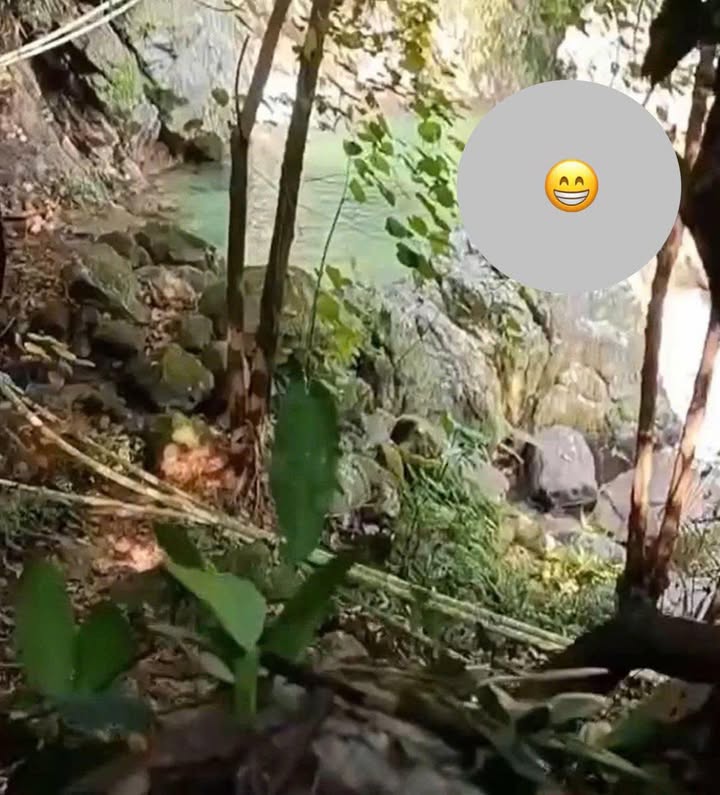 Hòa mình vào thiên nhiên