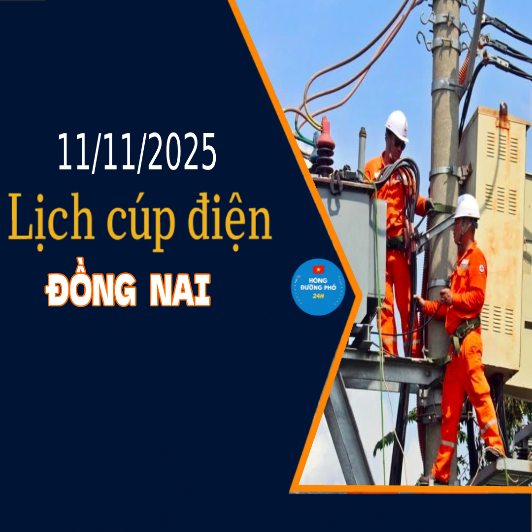 Lịch cắt điện Đồng Nai ngày mai 11/11 cập nhật mới nhất