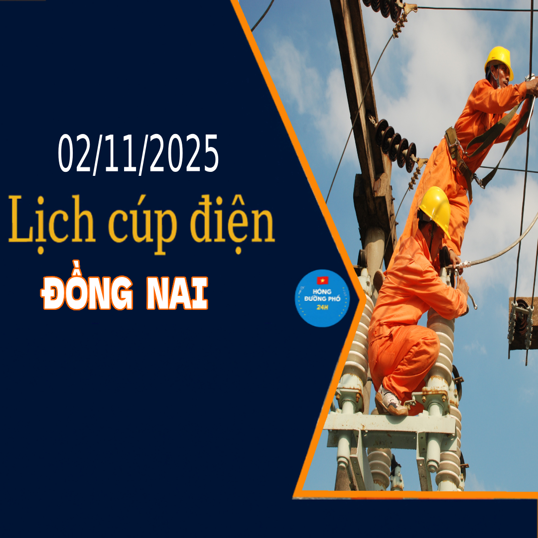 Lịch cắt điện Đồng Nai ngày mai 2/11 cập nhật mới nhất
