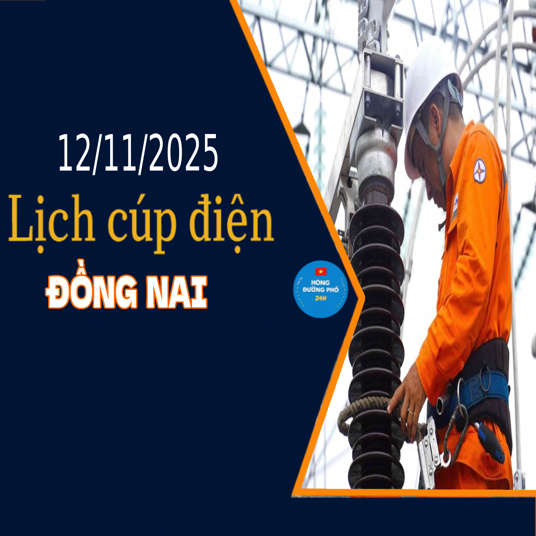 Lịch cắt điện Đồng Nai ngày mai 12/11 cập nhật mới nhất