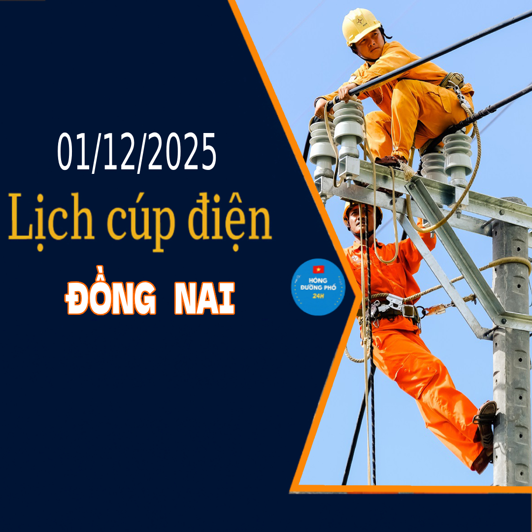 Lịch cắt điện Đồng Nai ngày mai 1/12 cập nhật mới nhất