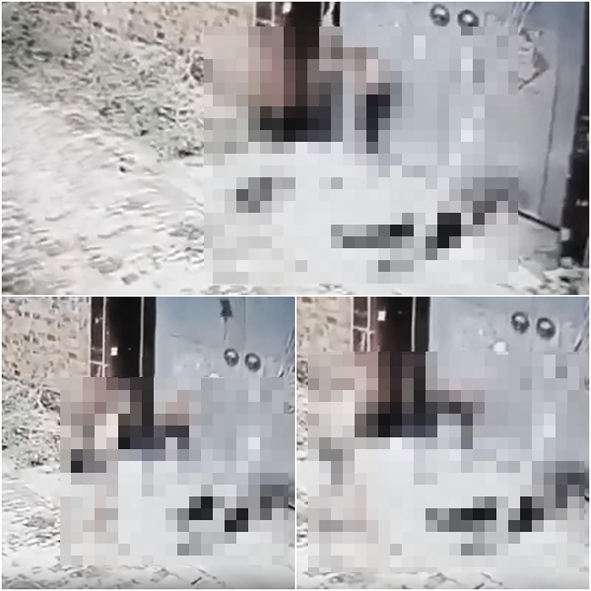 VI:DEO 0CHE: Yê’u tym đừng xem