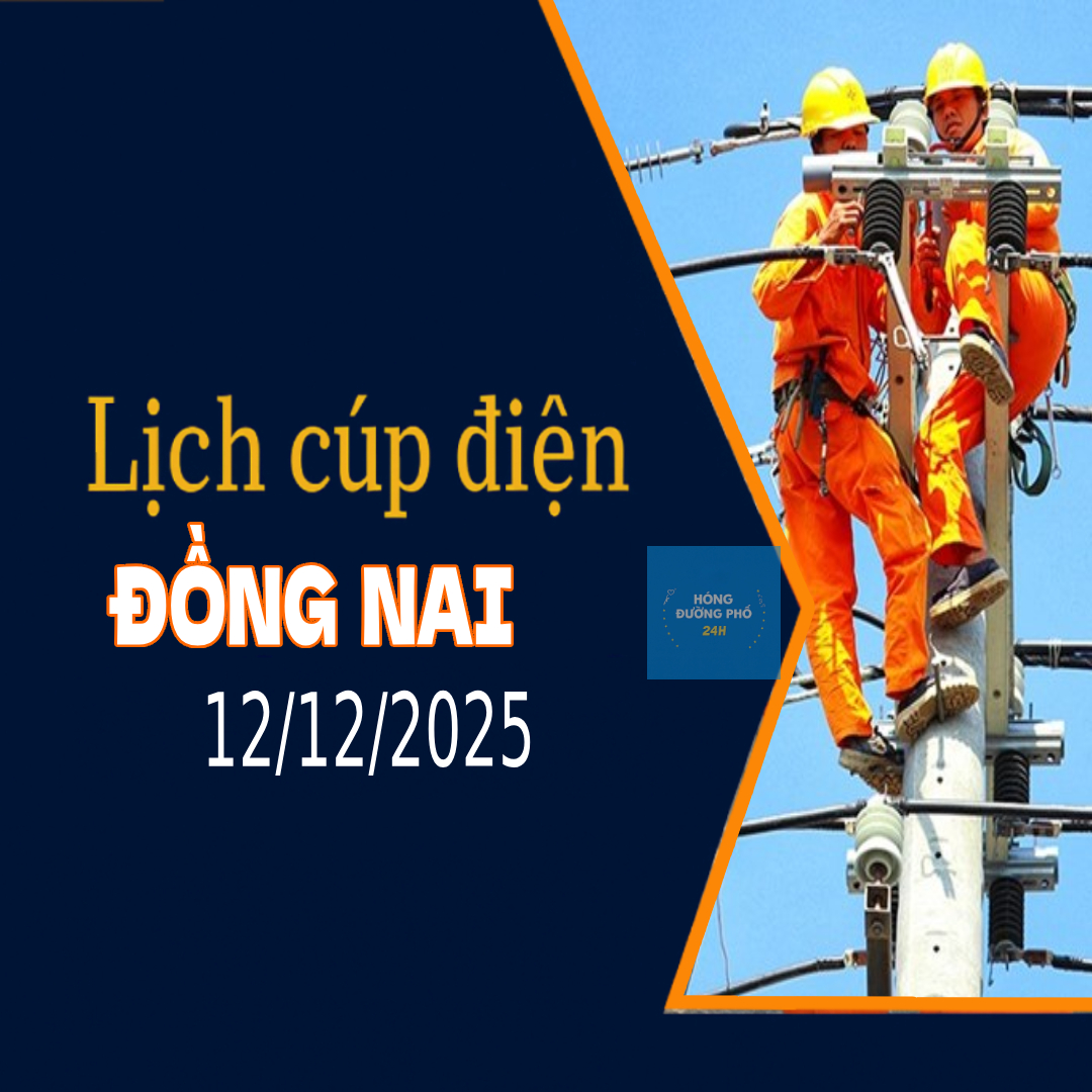 Lịch cắt điện Đồng Nai ngày mai 12/12 cập nhật mới nhất