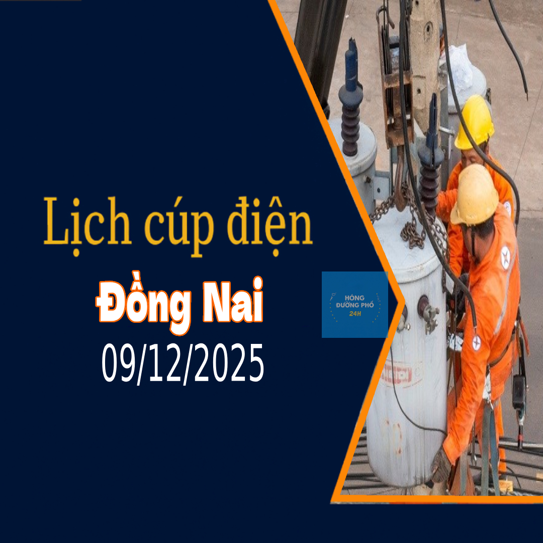 Lịch cắt điện Đồng Nai ngày mai 9/12 cập nhật mới nhất