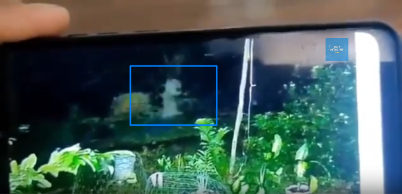 VỤ VIỆC “AMANH” NHẤT LÚC NÀY